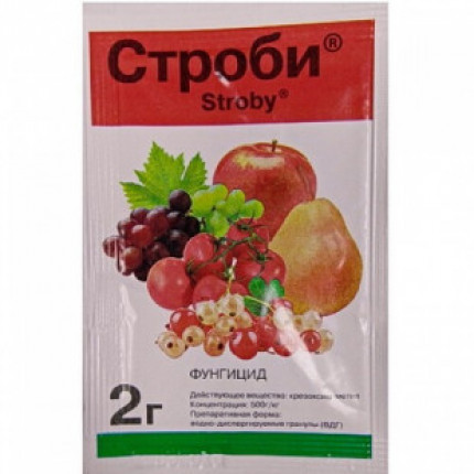 Фото Фунгицид Строби 2 гр